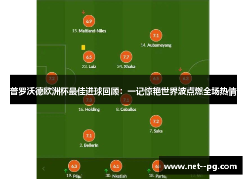 普罗沃德欧洲杯最佳进球回顾：一记惊艳世界波点燃全场热情