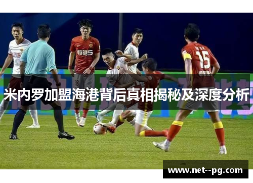 米内罗加盟海港背后真相揭秘及深度分析