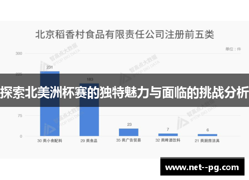 探索北美洲杯赛的独特魅力与面临的挑战分析