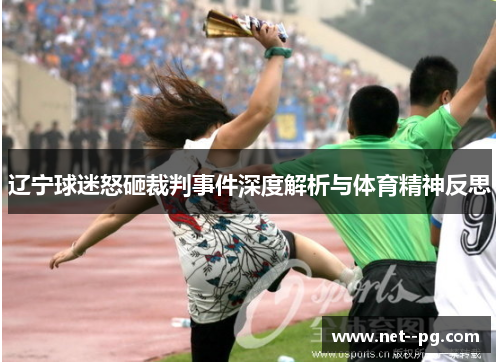 辽宁球迷怒砸裁判事件深度解析与体育精神反思