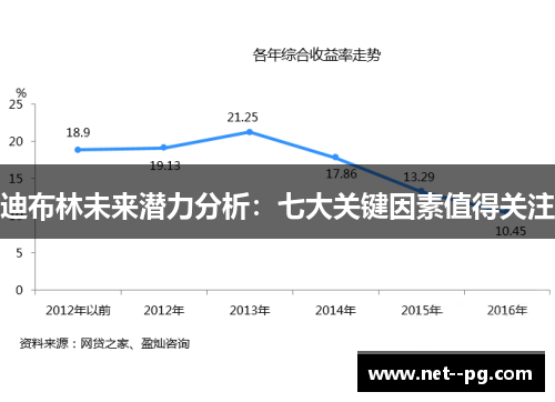 迪布林未来潜力分析：七大关键因素值得关注