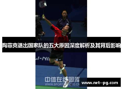 陶菲克退出国家队的五大原因深度解析及其背后影响