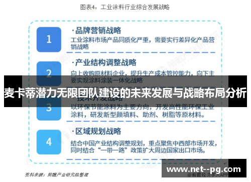 麦卡蒂潜力无限团队建设的未来发展与战略布局分析