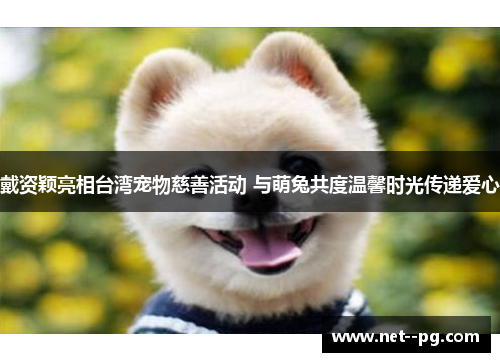 戴资颖亮相台湾宠物慈善活动 与萌兔共度温馨时光传递爱心