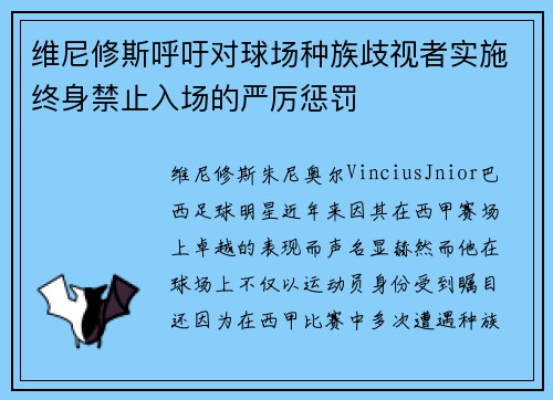 维尼修斯呼吁对球场种族歧视者实施终身禁止入场的严厉惩罚