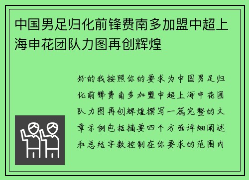 中国男足归化前锋费南多加盟中超上海申花团队力图再创辉煌
